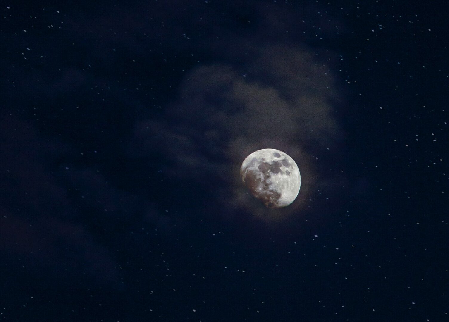 Холли Берри и Патрик Уилсон объединяются для спасения