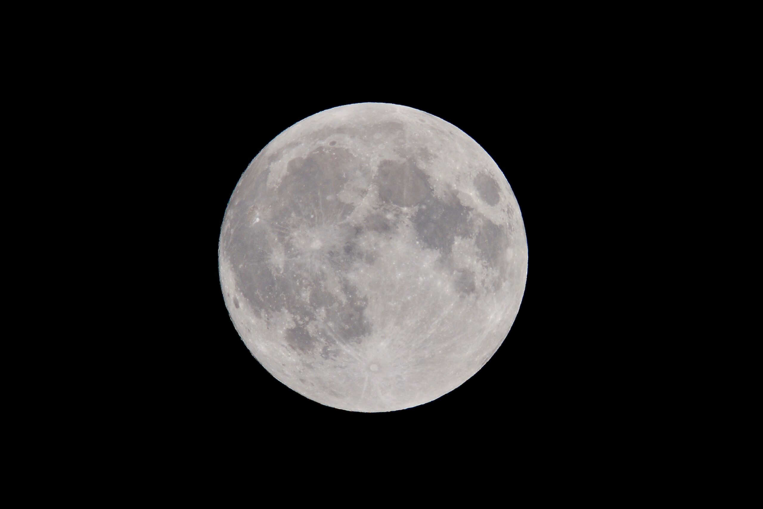 Какое животное первым облетело вокруг луны. Луна. Луна вблизи. Вид с Луны. Луна месяц.